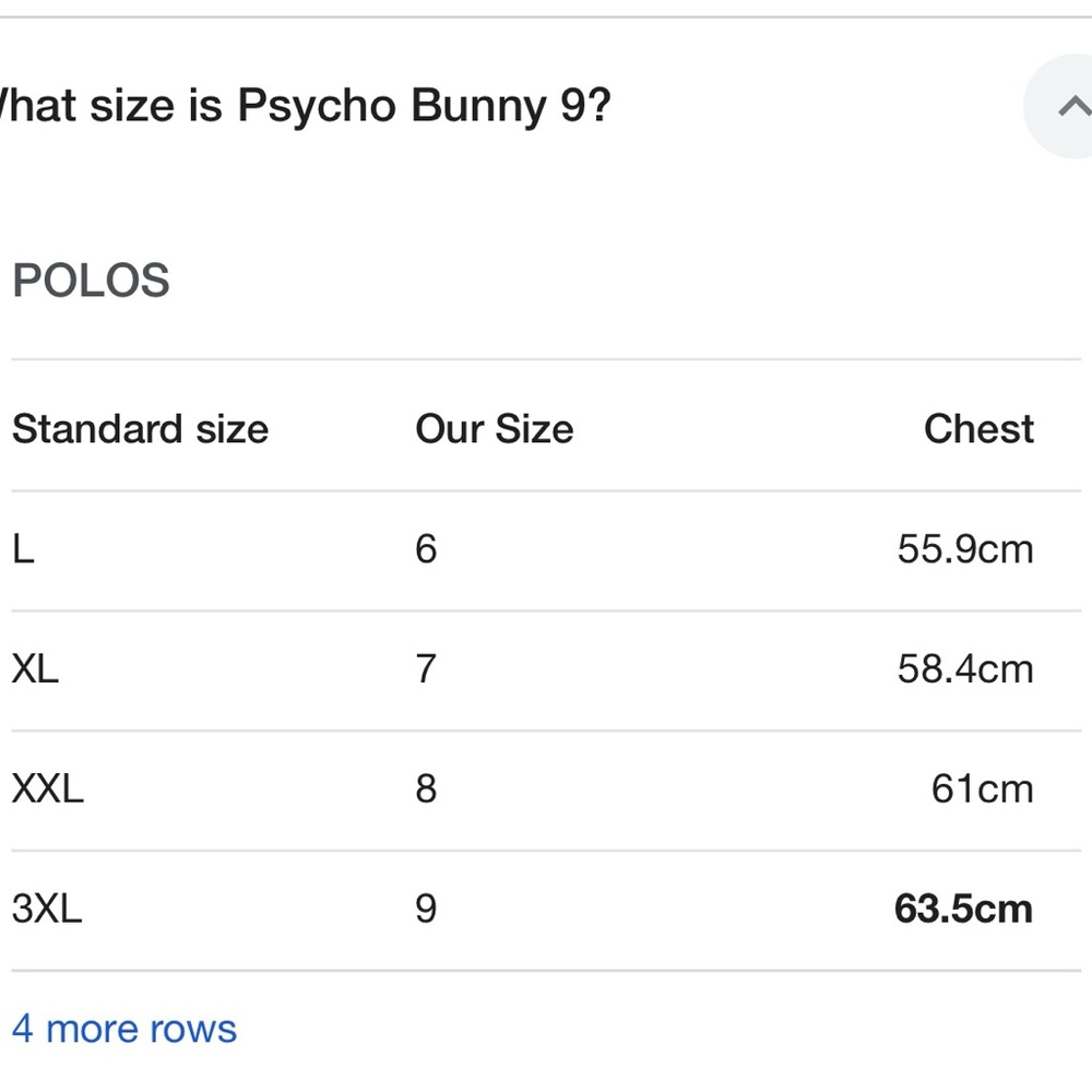 Psycho bunny polo shirt - Picture 5 of 5